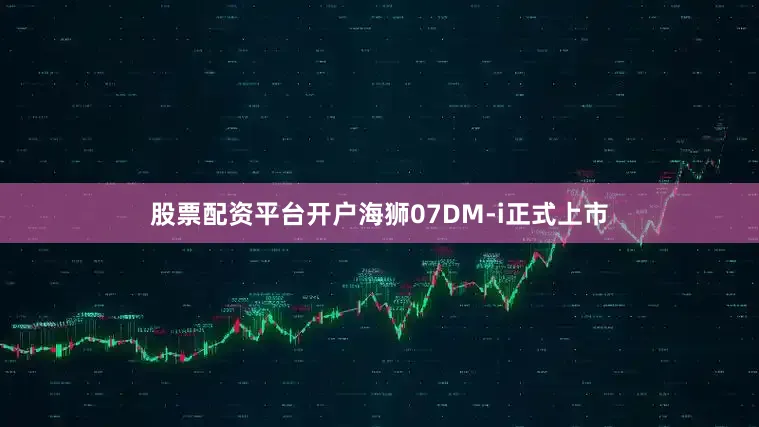 股票配资平台开户海狮07DM-i正式上市