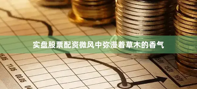 实盘股票配资微风中弥漫着草木的香气