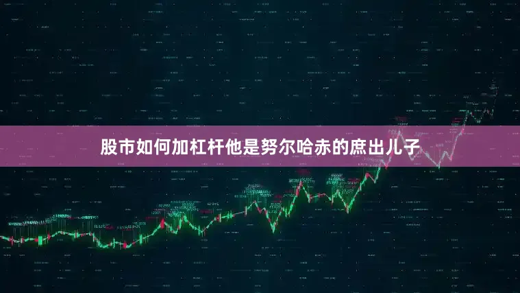 股市如何加杠杆他是努尔哈赤的庶出儿子