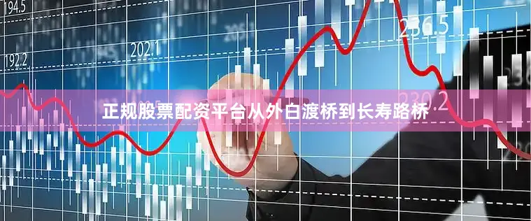 正规股票配资平台从外白渡桥到长寿路桥
