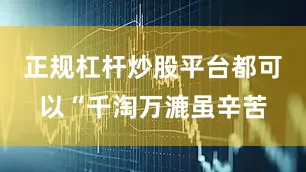 正规杠杆炒股平台都可以“千淘万漉虽辛苦